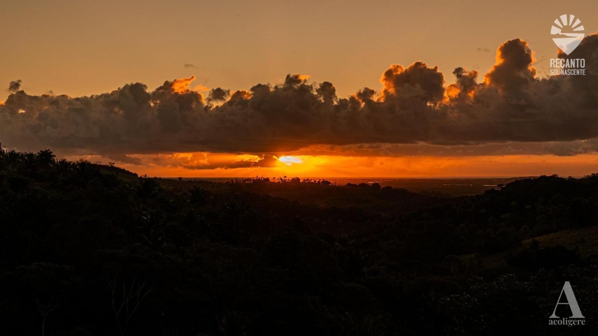 Hotel Pousada Recanto Sol Nascente, Luxo E Proximidade Com A Natureza Rio Formoso Exterior foto