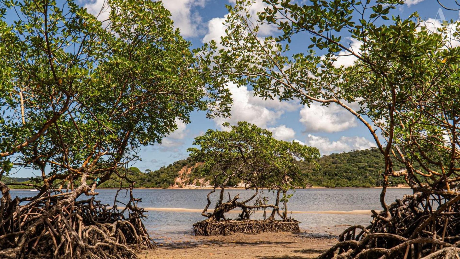 Hotel Pousada Recanto Sol Nascente, Luxo E Proximidade Com A Natureza Rio Formoso Exterior foto