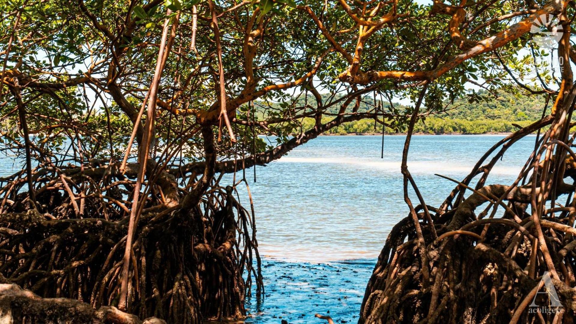 Hotel Pousada Recanto Sol Nascente, Luxo E Proximidade Com A Natureza Rio Formoso Exterior foto